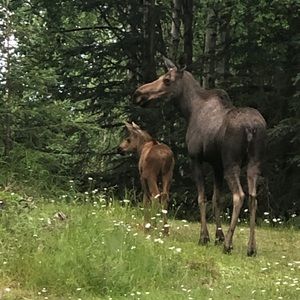 Meet your Posher, Bridget